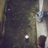 Palehorse - Harm Starts Here